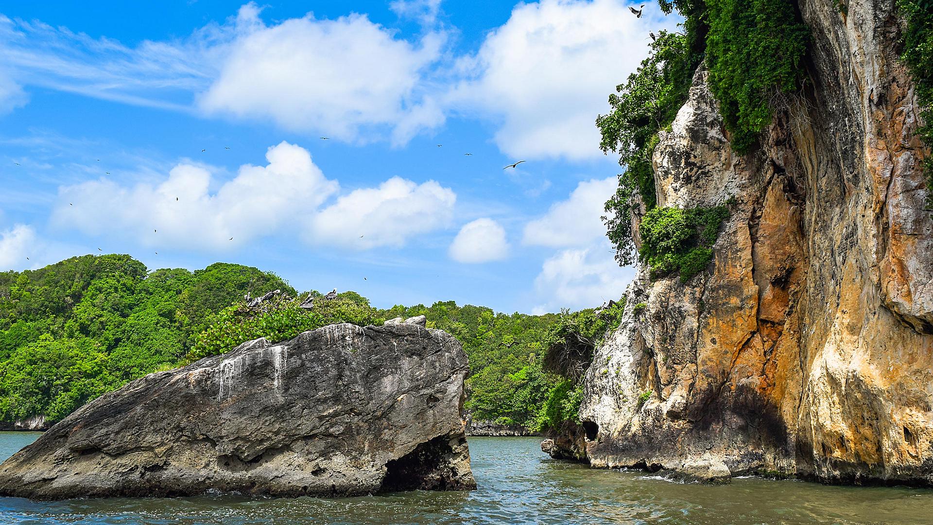 dominican-republic-pelicans-on-rock-los-haitises-national-park