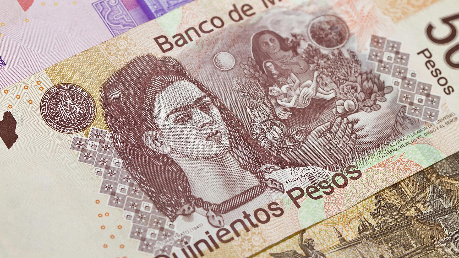 frida-kahlo-in-local-pesos