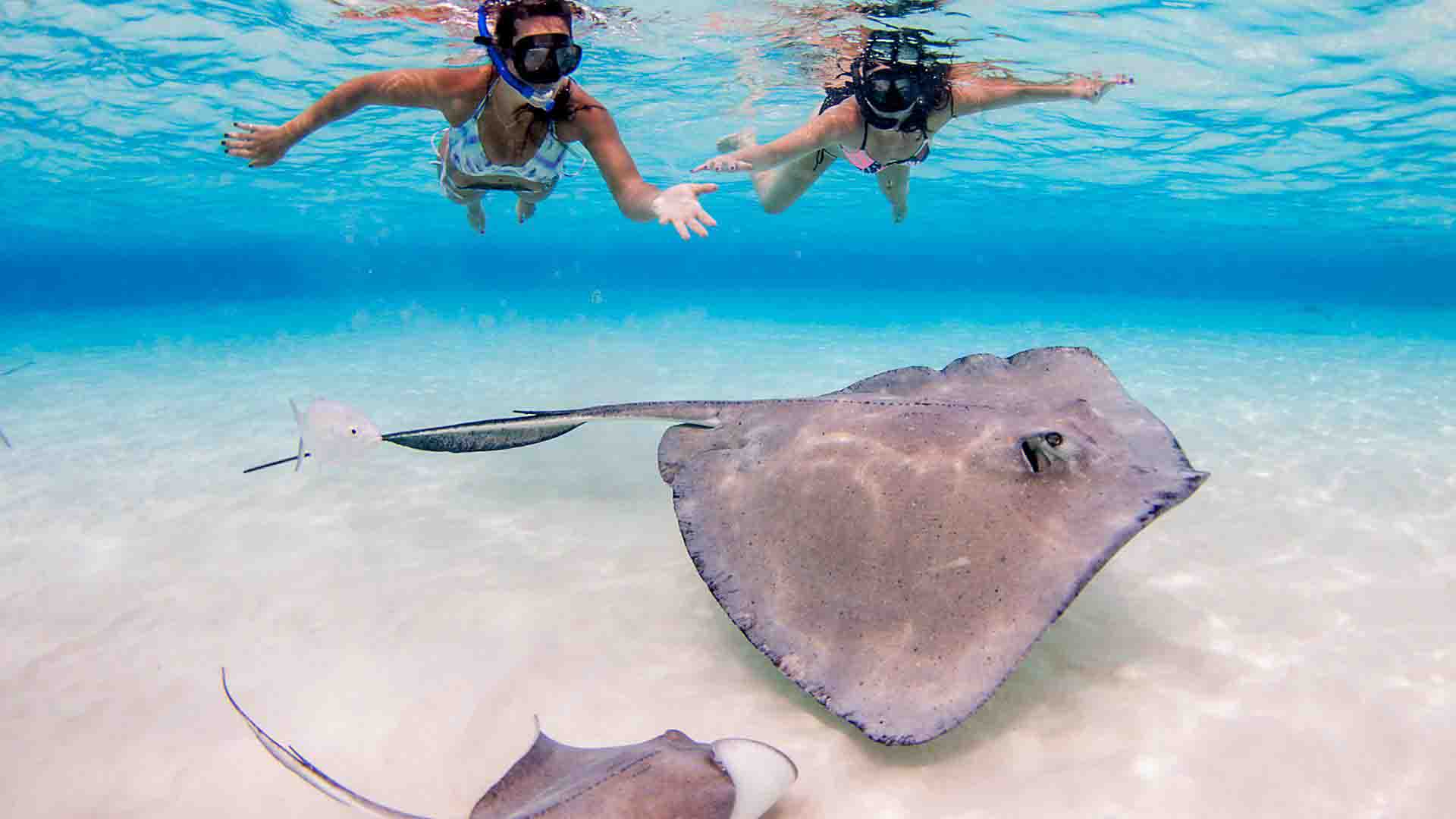 george-town-grand-cayman-swimming-with-stingrays