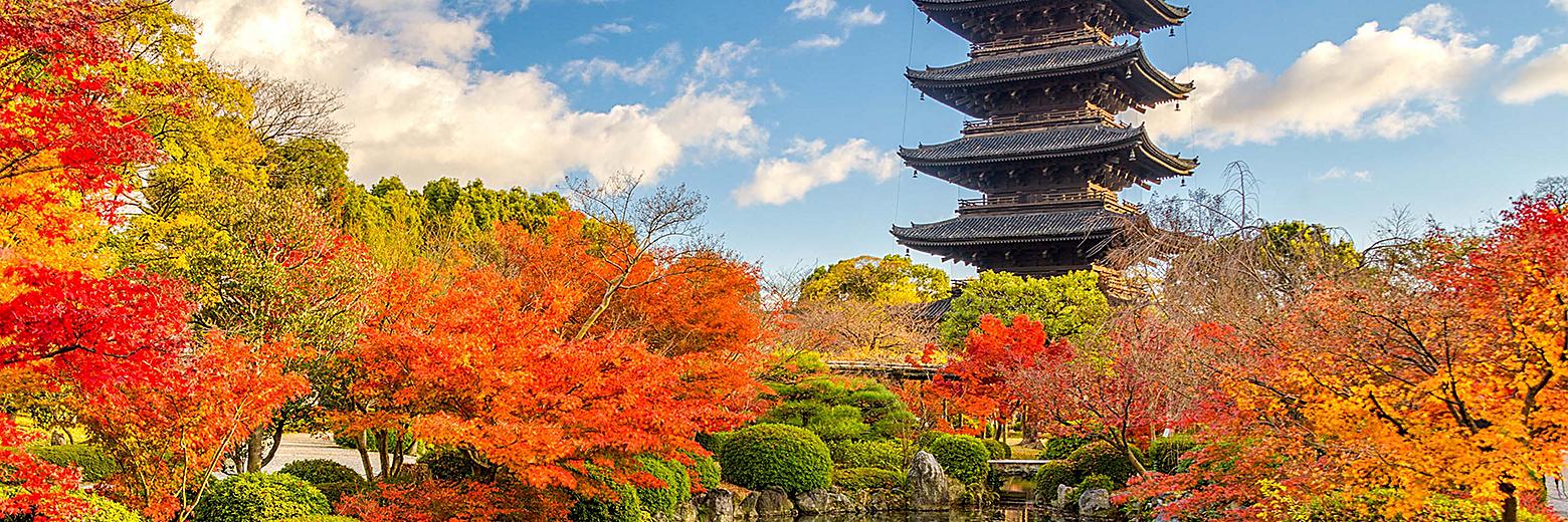 japan-kyoto-toji-pagoda