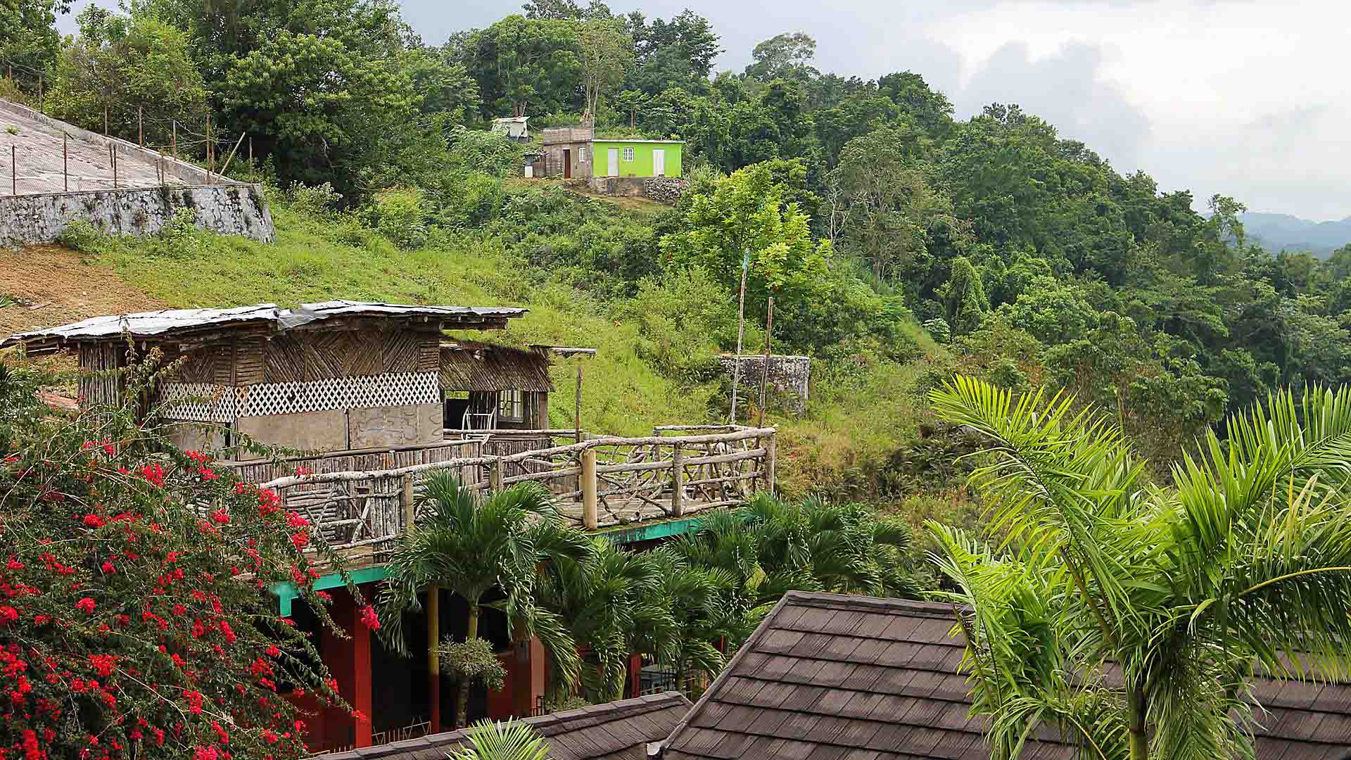 nile-mile-houses-in-the-tropical-rainforest